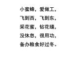 部编版三年级语文下册--14.蜜蜂（课件2）