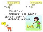 部编版三年级语文下册--14.蜜蜂（课件2）