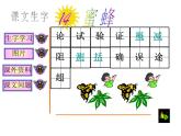 部编版三年级语文下册--14.蜜蜂（课件3）