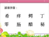 部编版三年级语文下册--17.我变成了一棵树（课件1）
