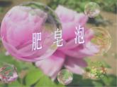 部编版三年级语文下册--20.肥皂泡（课件3）