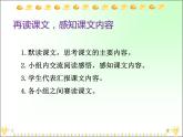 部编版三年级语文下册--25.慢性子裁缝和急性子顾客（课件2）