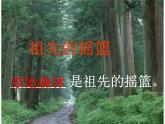 部编版二年级语文下册--23.祖先的摇篮（课件）