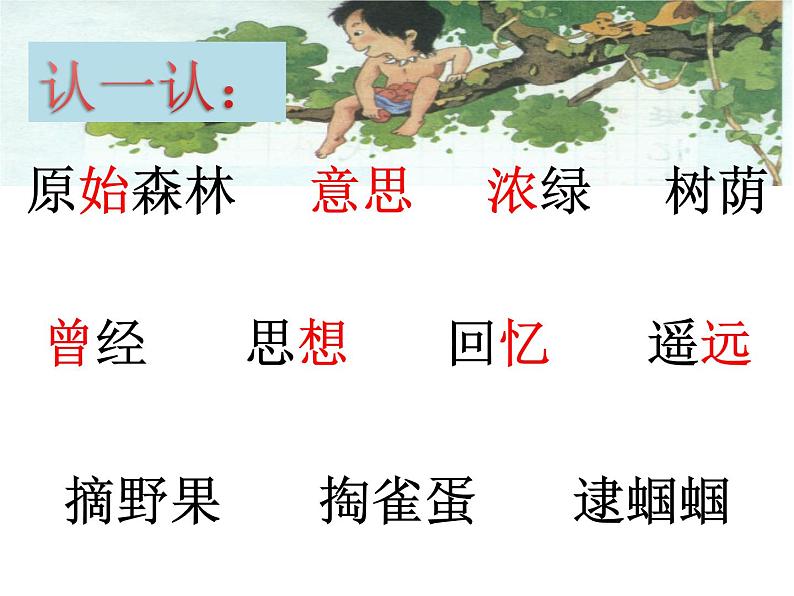 部编版二年级语文下册--23.祖先的摇篮（课件）07