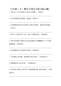 部编版小学语文六年级下册语文期中专项句子 练习题（含答案）