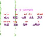 部编版四年级语文下册--5.琥珀（课件3）