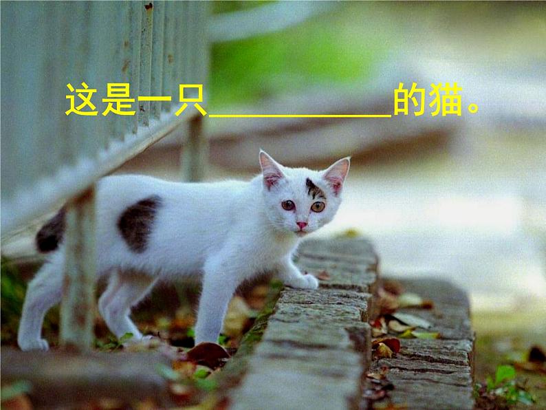 部编版四年级语文下册--12.猫（课件4）第7页