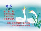 部编版四年级语文下册--14.白鹅（课件3）