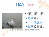部编版四年级语文下册--14.白鹅（课件4）