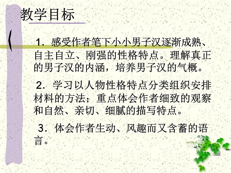 部编版四年级语文下册--20.我们家的男子汉（课件4）第3页