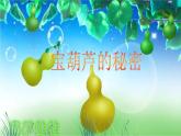 部编版四年级语文下册--26.宝葫芦的秘密（课件3）