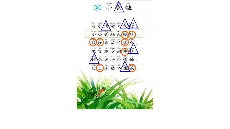 部编版一年级语文下册--识字3.小青蛙（课件）第4页