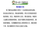 部编版一年级语文下册--识字5动物儿歌（课件）