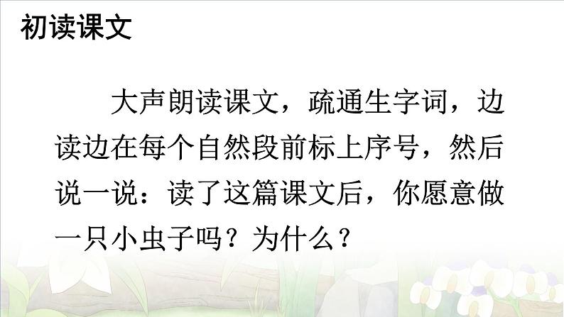 部编版语文二年级下册 11 我是一只小虫子 课件第5页