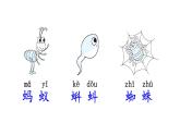 部编版一年级语文下册--识字5 动物儿歌（课件）