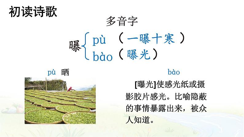 部编版语文四年级下册 12 在天晴了的时候 课件07