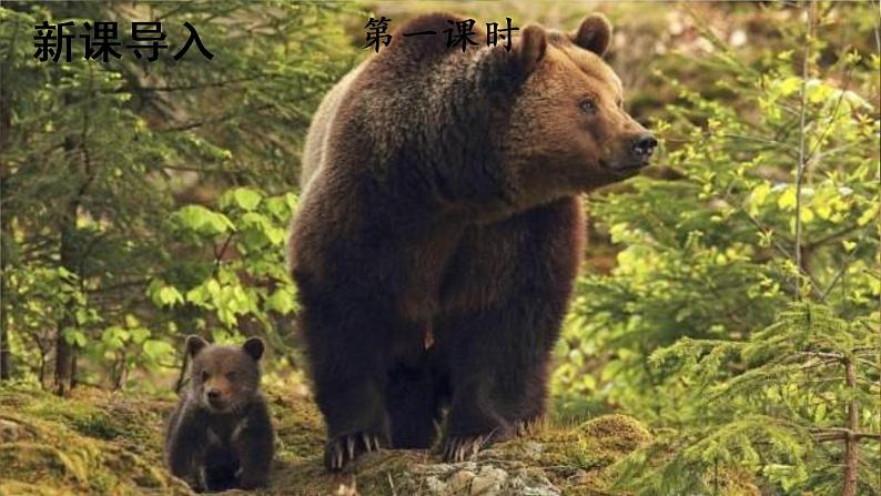 部编版语文一年级下册 17 动物王国开大会 课件第2页