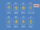 部编版二年级语文下册--4 邓小平爷爷植树（课件）