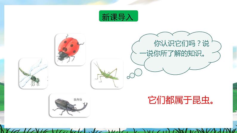 4 昆虫备忘录 课件+教案+导学案+素材02