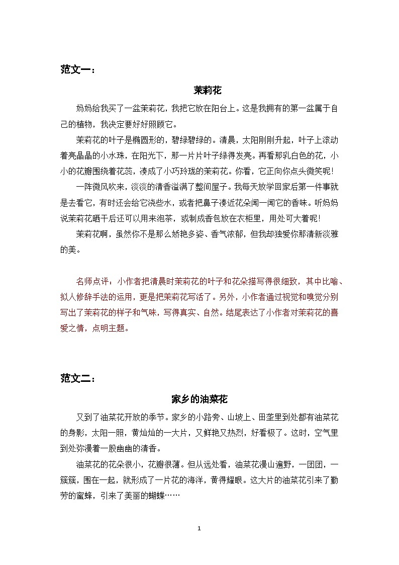 人教部编版语文三下 习作一  我的植物朋友 课件+教案+习作范文01