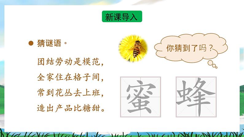 14 蜜蜂 课件+教案+导学案+课堂实录+素材02