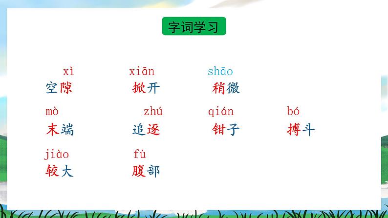 15 小虾 课件+教案+导学案+素材06