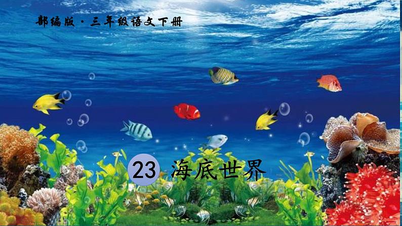 语文部编3下 第七单元 23.海底世界 PPT课件01