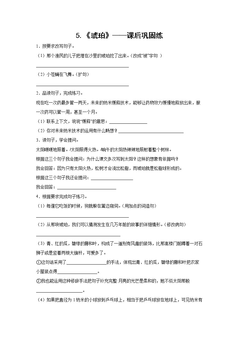 5.《琥珀》-课后巩固练-四年级语文下册同步试题精编（解析版+学生版）01