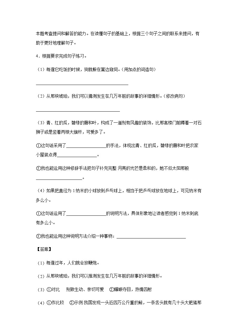 5.《琥珀》-课后巩固练-四年级语文下册同步试题精编（解析版+学生版）03
