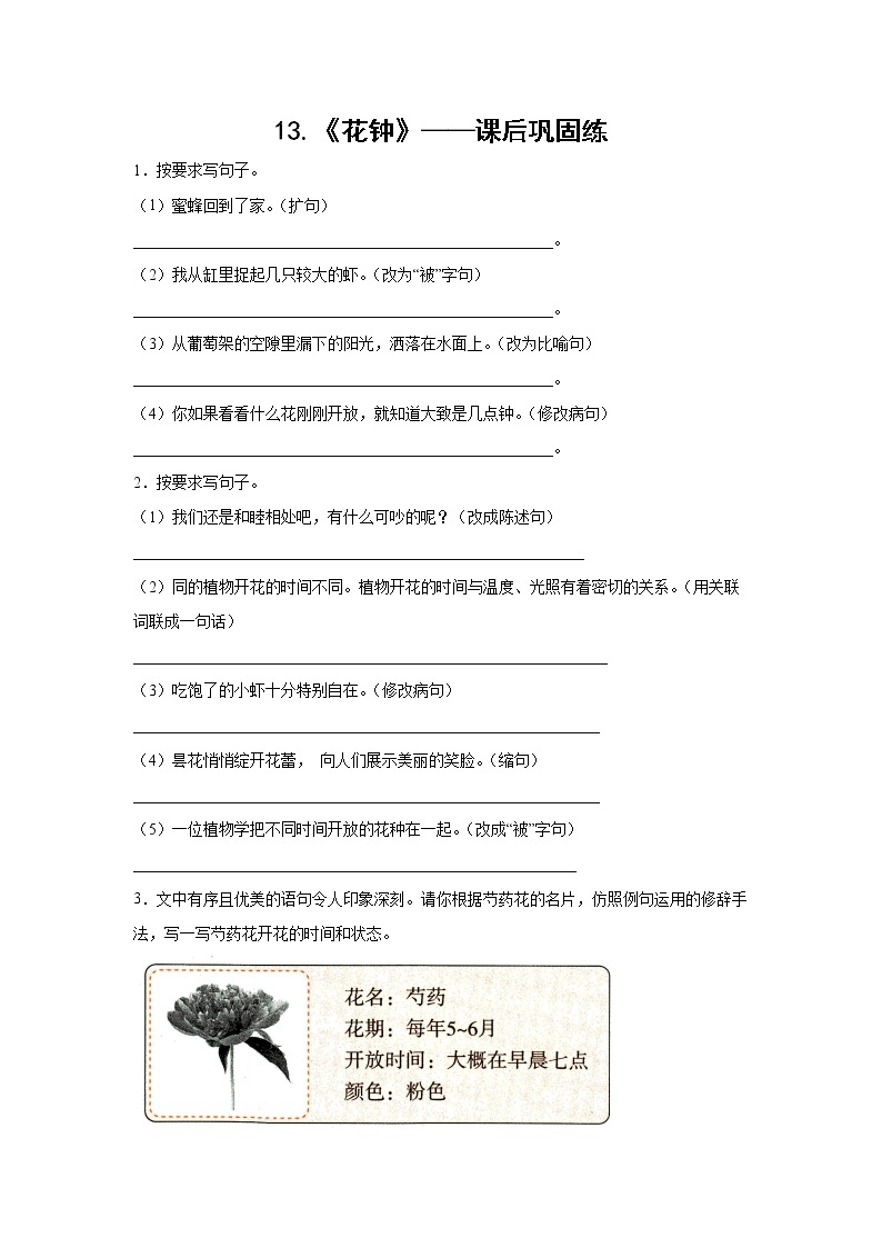 13.《花钟》-课后巩固练-三年级语文下册同步试题精编（解析版 学生版）01