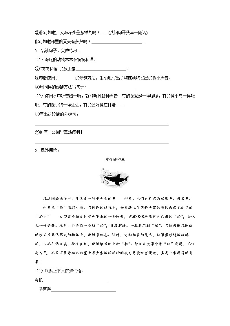 23.《海底世界》-课前预习单-三年级语文下册同步试题精编（解析版 学生版）02