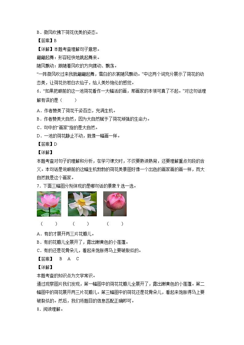 3.《荷花》-课中随堂填-三年级语文下册同步试题精编（解析版+学生版）03