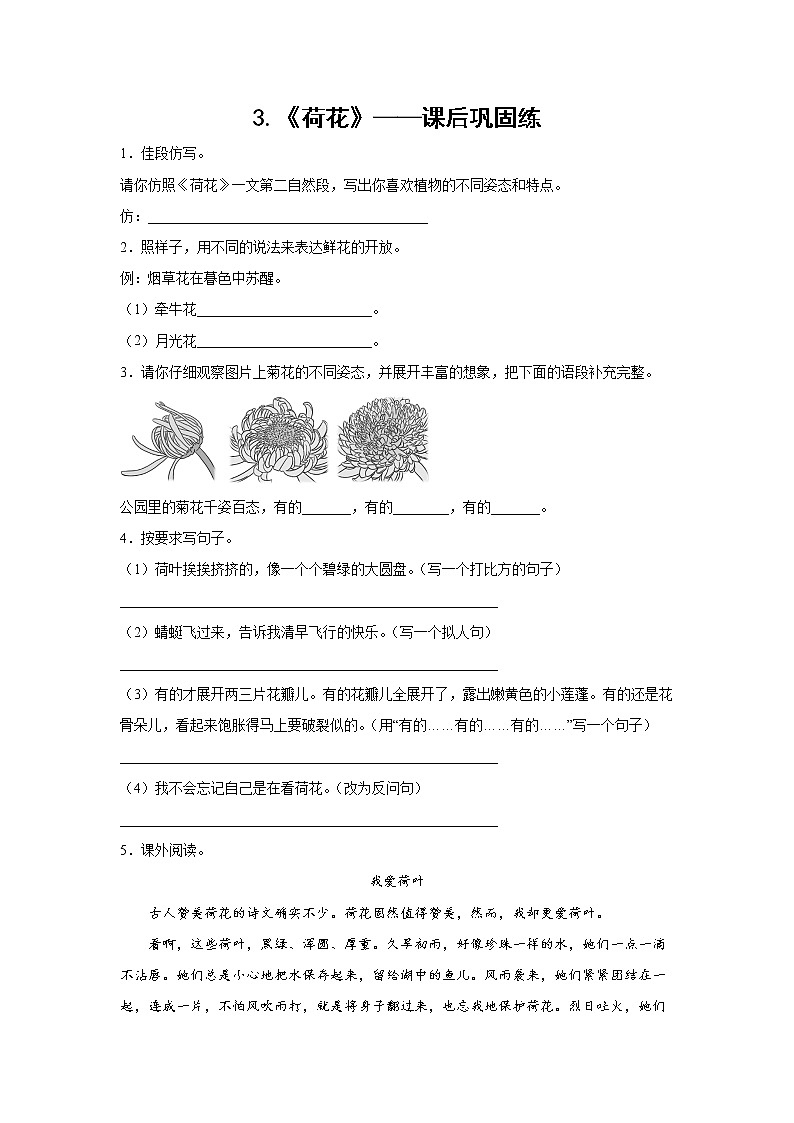3.《荷花》——课后巩固练（学生版）第1页