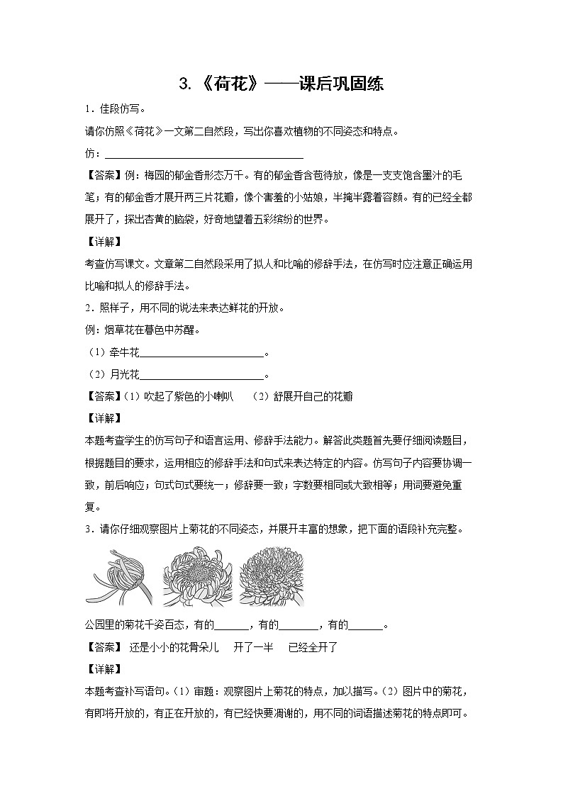 3.《荷花》——课后巩固练（解析版）第1页