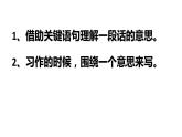 《富饶的西沙群岛》课件（第二课时）