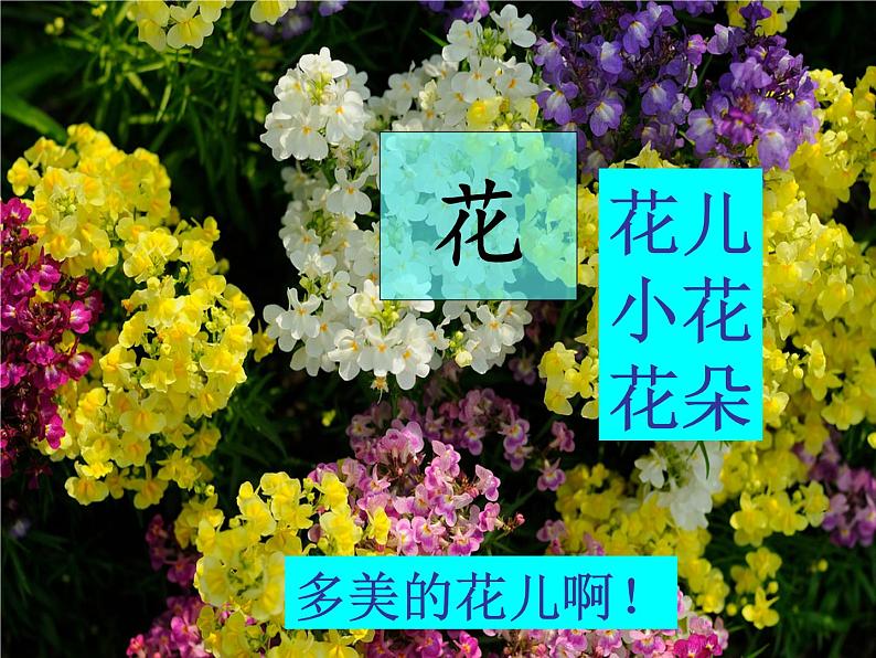 识字五《对韵歌》课件第8页