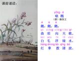 汉语拼音《 ɑ o e》课件