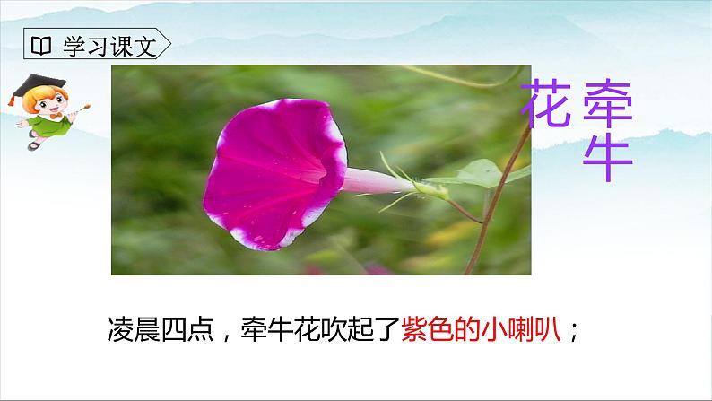 人教部编版三年级语文下册 花钟 第二课时PPT课件(1)第8页