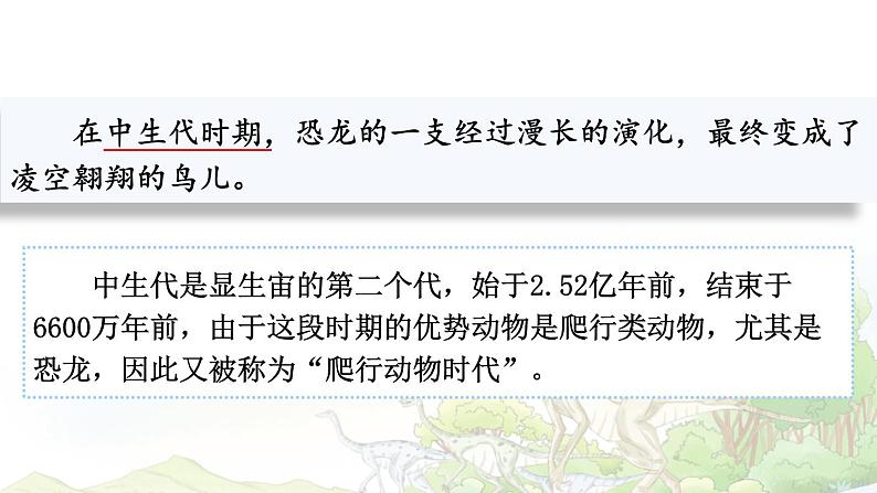 【人教部编版】四下语文  6 飞向蓝天的恐龙 （课件+教案）04