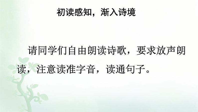 【人教部编版】四下语文  10 绿（课件+教案）04