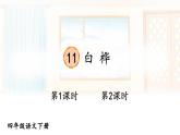 【人教部編版】四下語文  11 白樺（課件+教案）