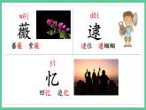 第23课《祖先的摇篮》（课件）部编版语文二年级下册
