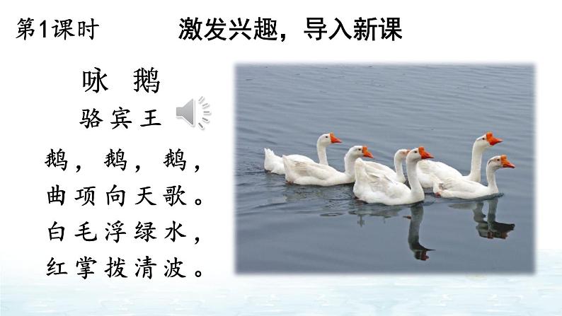 【人教部编版】四下语文  15 白鹅（课件+教案）02
