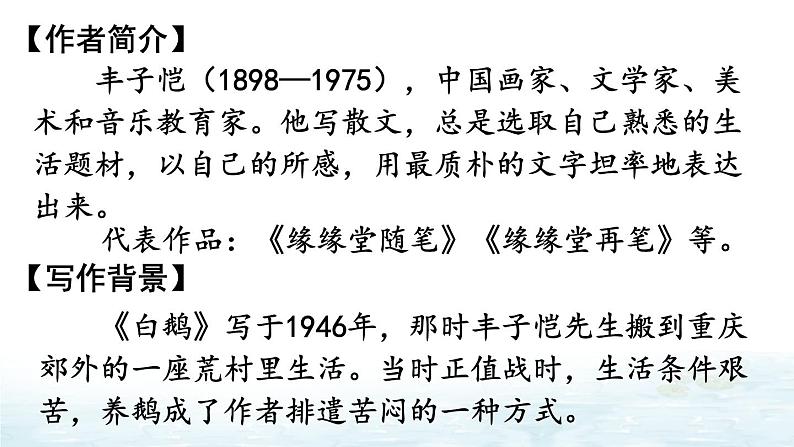 【人教部编版】四下语文  15 白鹅（课件+教案）03