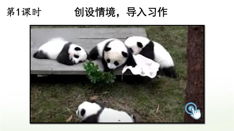 【人教部编版】四下语文  习作：我的动物朋友 （课件+教案）02
