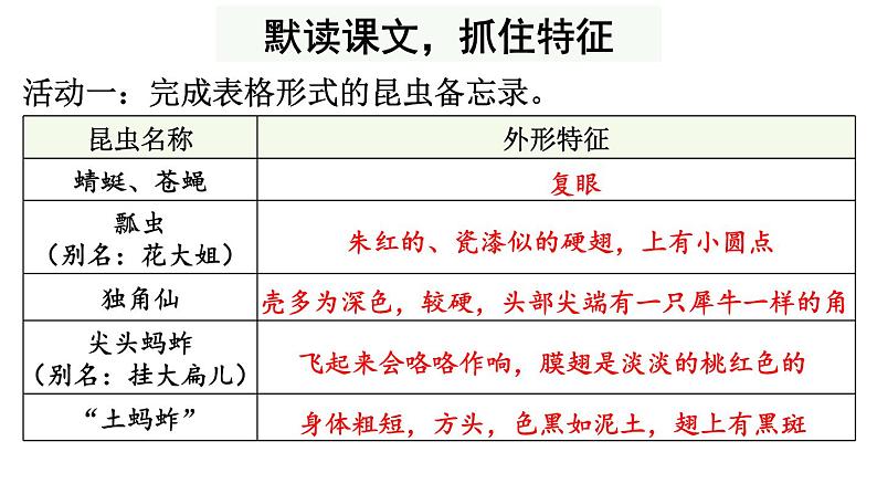 部编版三年级语文下册--4 昆虫备忘录（课件）07