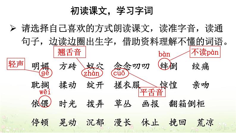 【人教部编版】六下语文 9 那个星期天（课件+教案）04