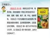 人教部编版三年级语文下册14《蜜蜂》第一课时PPT课件+教学设计+音视频素材