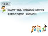 人教部编版三年级语文下册14《蜜蜂》第一课时PPT课件+教学设计+音视频素材