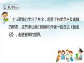 人教部编版三年级语文下册14《蜜蜂》第二课时PPT课件+教学设计+音视频素材